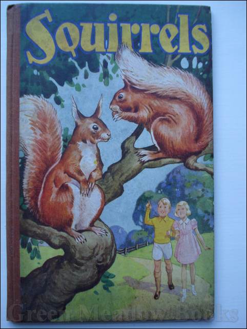 Image for SQUIRRELS - A WOODLAND STORY FOR GIRLS AND BOYS