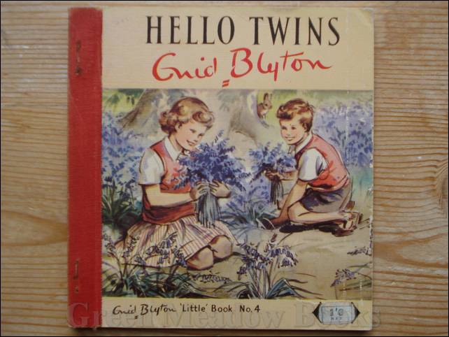 HELLO TWINS Image for HELLO TWINS