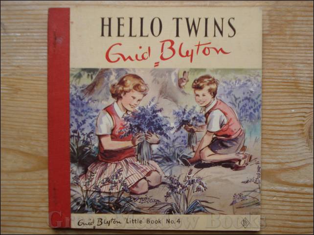 Image for HELLO TWINS