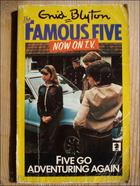 Image for FIVE GO ADVENTURING AGAIN