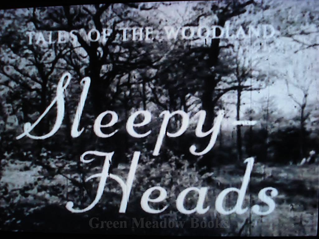 TALES OF THE WOODLAND SLEEPY-HEADS A FILM (on disc) Image for TALES OF THE WOODLAND SLEEPY-HEADS A FILM (on disc)