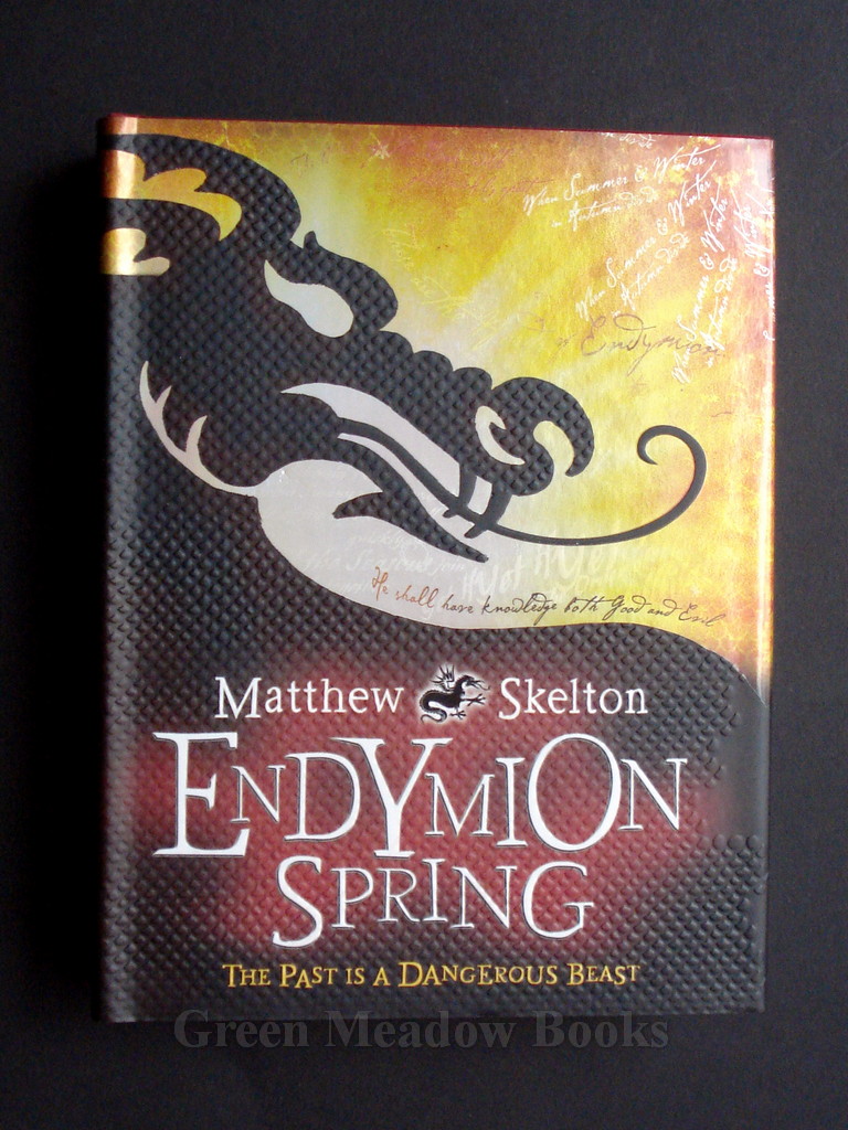 Image for ENDYMION SPRING THE PAST IS A DANGEROUS BEAST