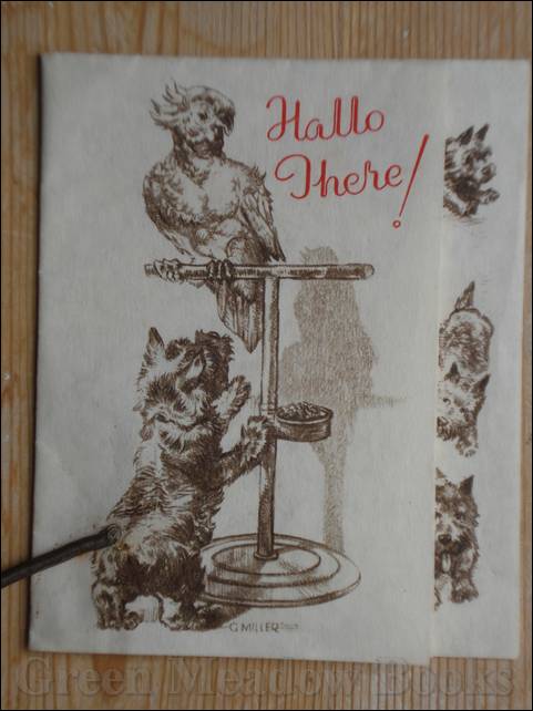 Image for HALLO THERE!