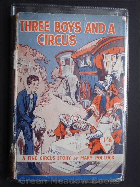 Image for THREE BOYS AND A CIRCUS A FINE CIRCUS STORY